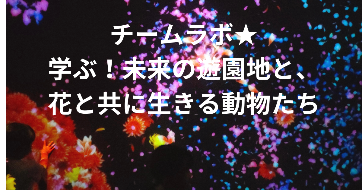 チームラボ名古屋！2023！！大人も楽しめる？チケットは？混雑